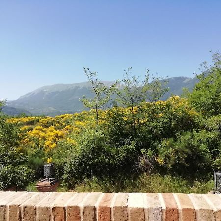 Luci Sui Monti Bed & Breakfast ซาร์นาโน ภายนอก รูปภาพ