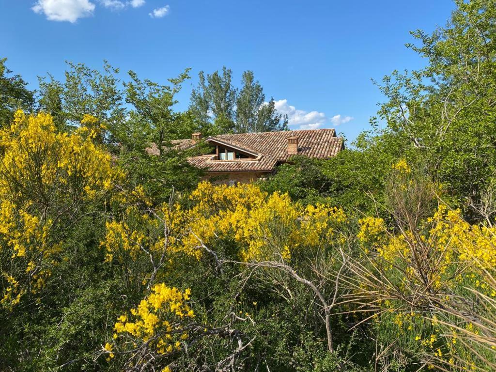 Luci Sui Monti Bed & Breakfast ซาร์นาโน ภายนอก รูปภาพ