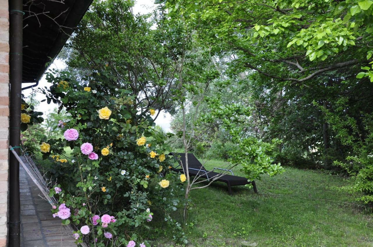 Luci Sui Monti Bed & Breakfast ซาร์นาโน ภายนอก รูปภาพ