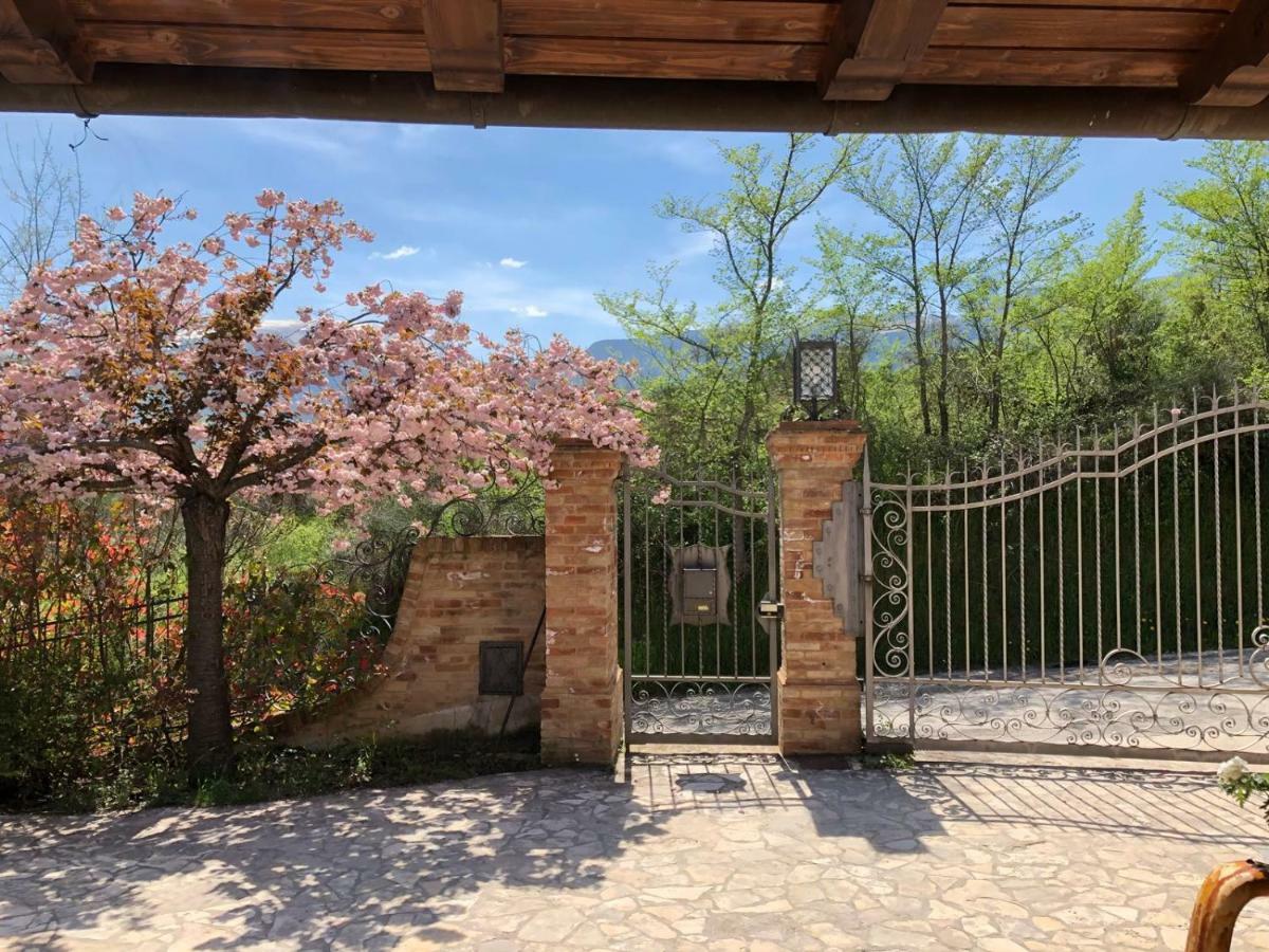 Luci Sui Monti Bed & Breakfast ซาร์นาโน ภายนอก รูปภาพ