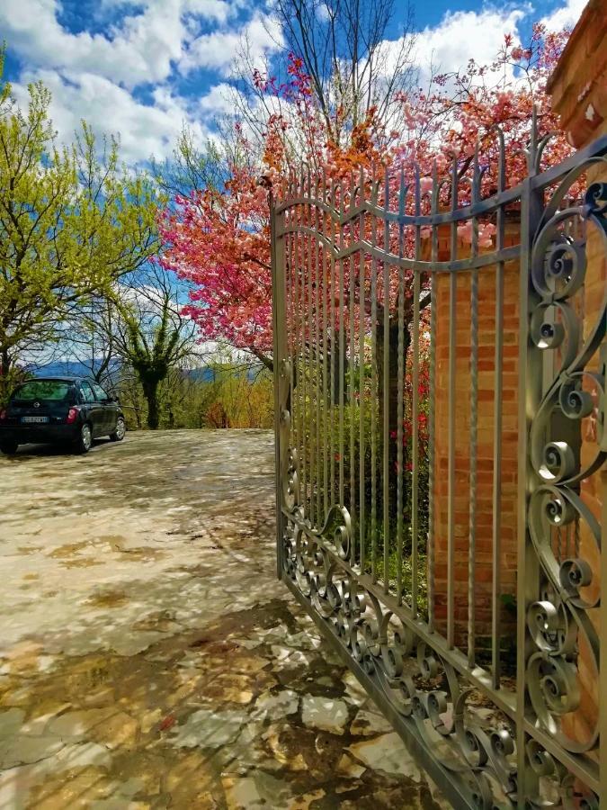 Luci Sui Monti Bed & Breakfast ซาร์นาโน ภายนอก รูปภาพ